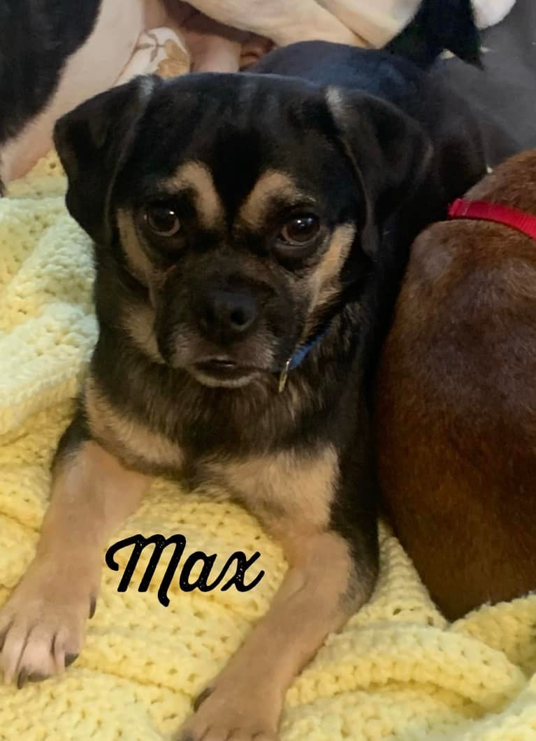 Max