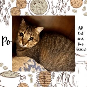 Po, Young Female unknown