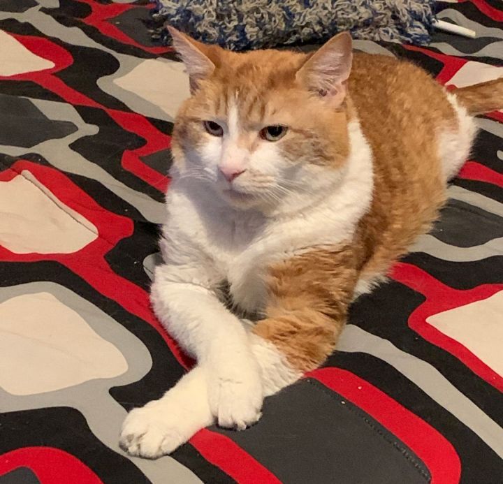 Tigger 1