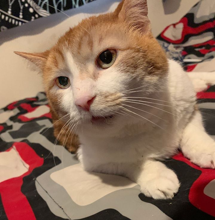 Tigger 5