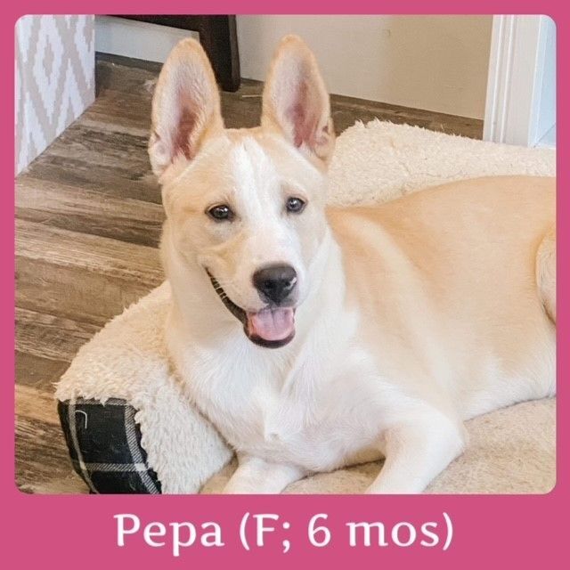 Pepa