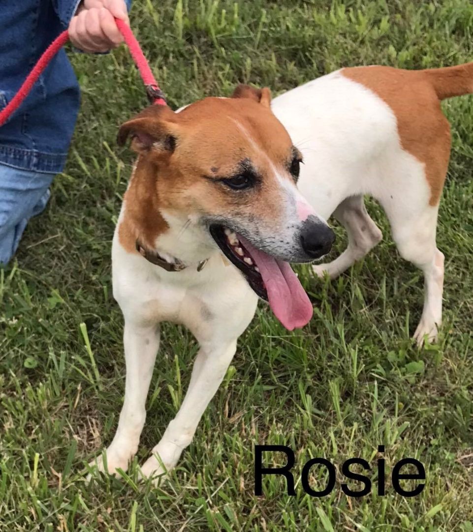 Rosie