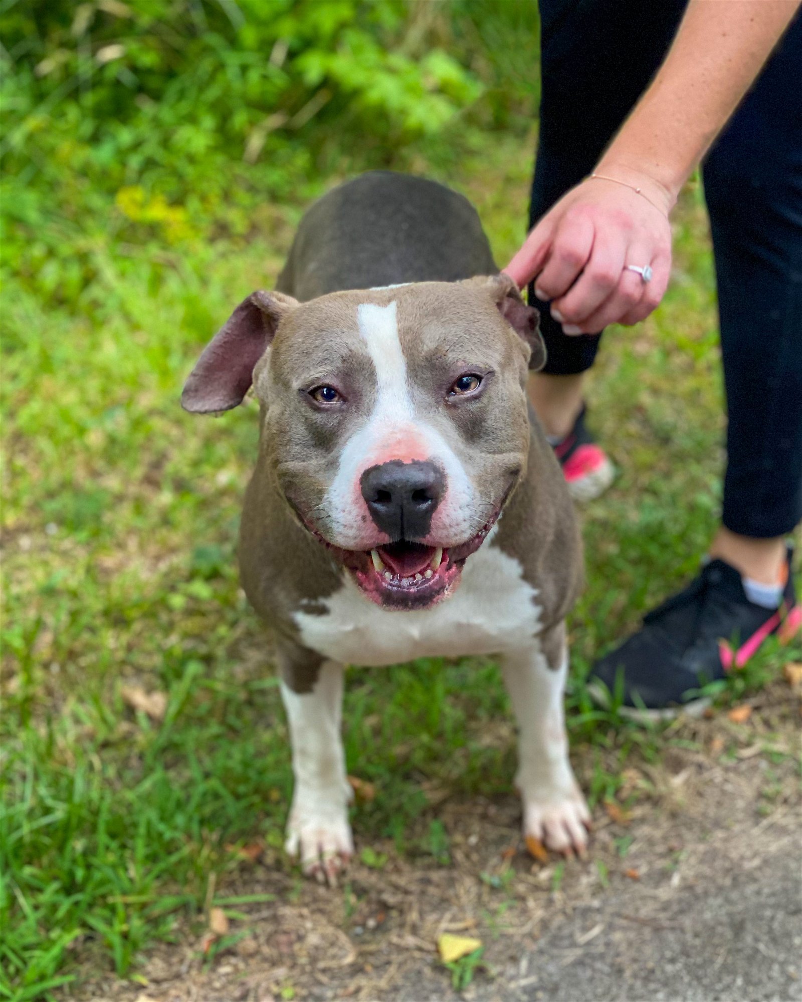 Blue Boy in Petersburg VA