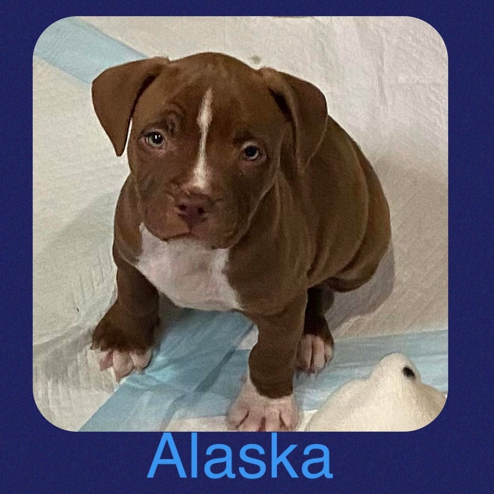 Alaska