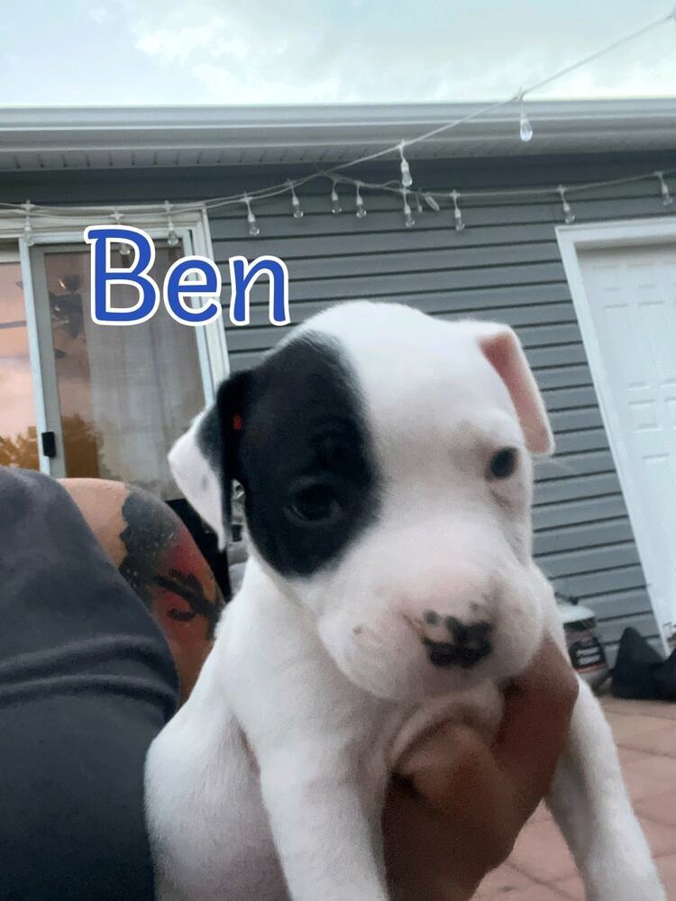 Ben