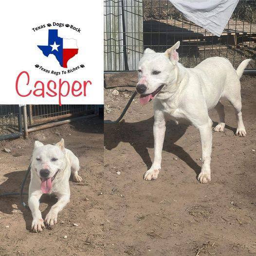 Casper 1