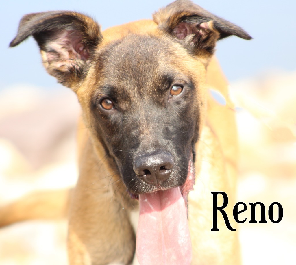 Gunner "Reno