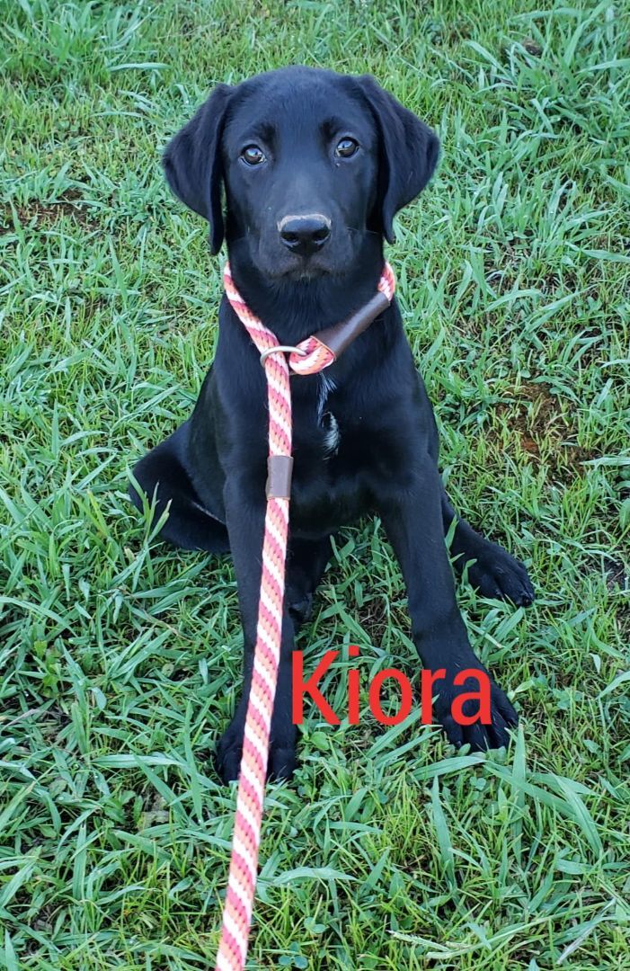 Kiora