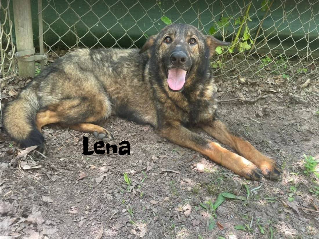 Lena