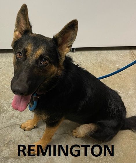 REMINGTON