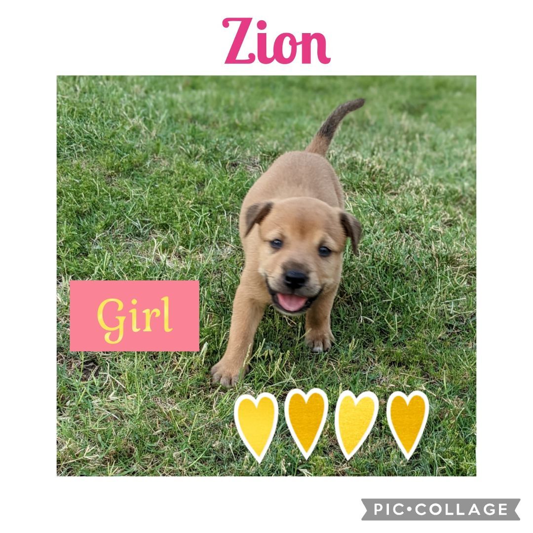 Zion