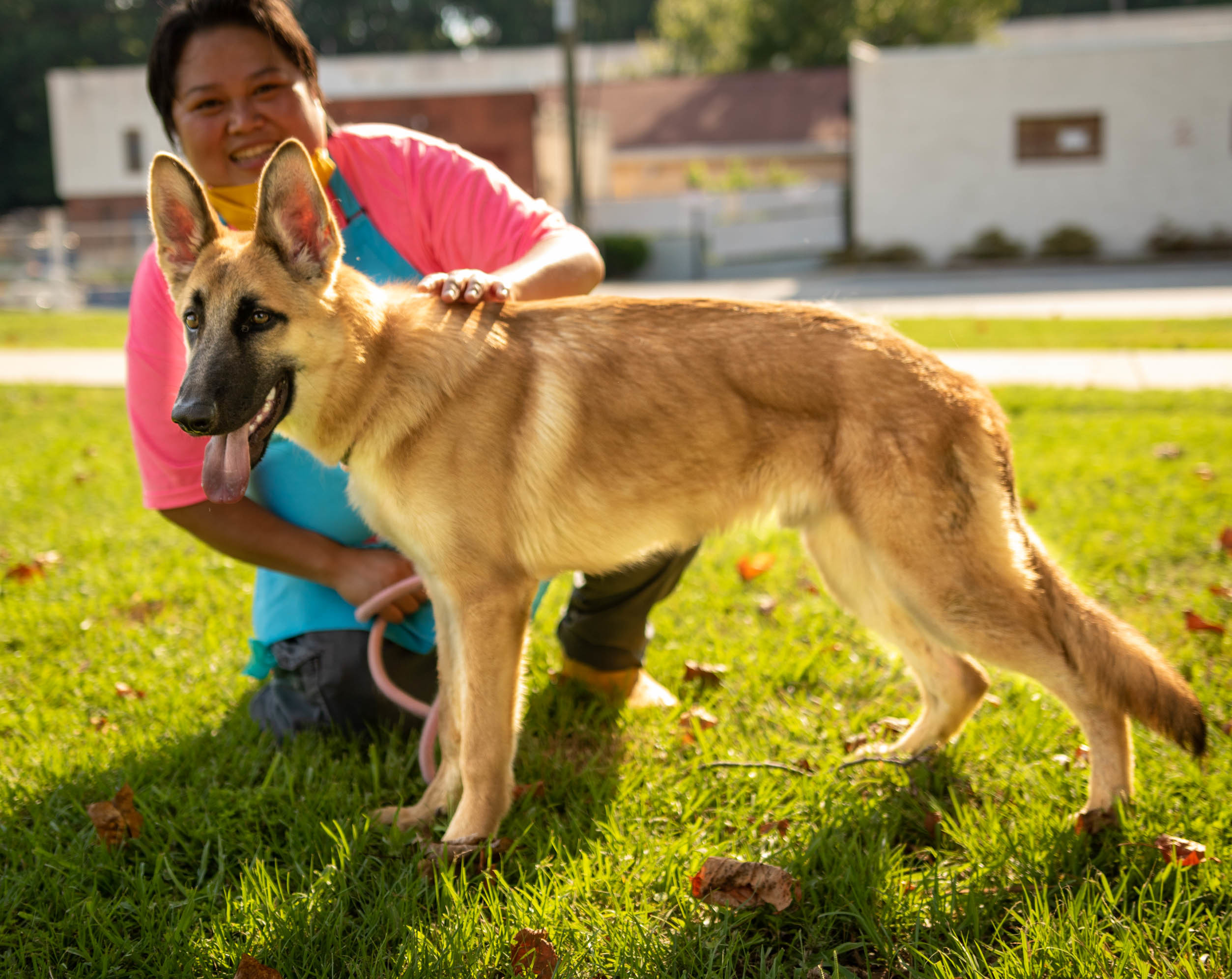 Breezy - ADOPTED