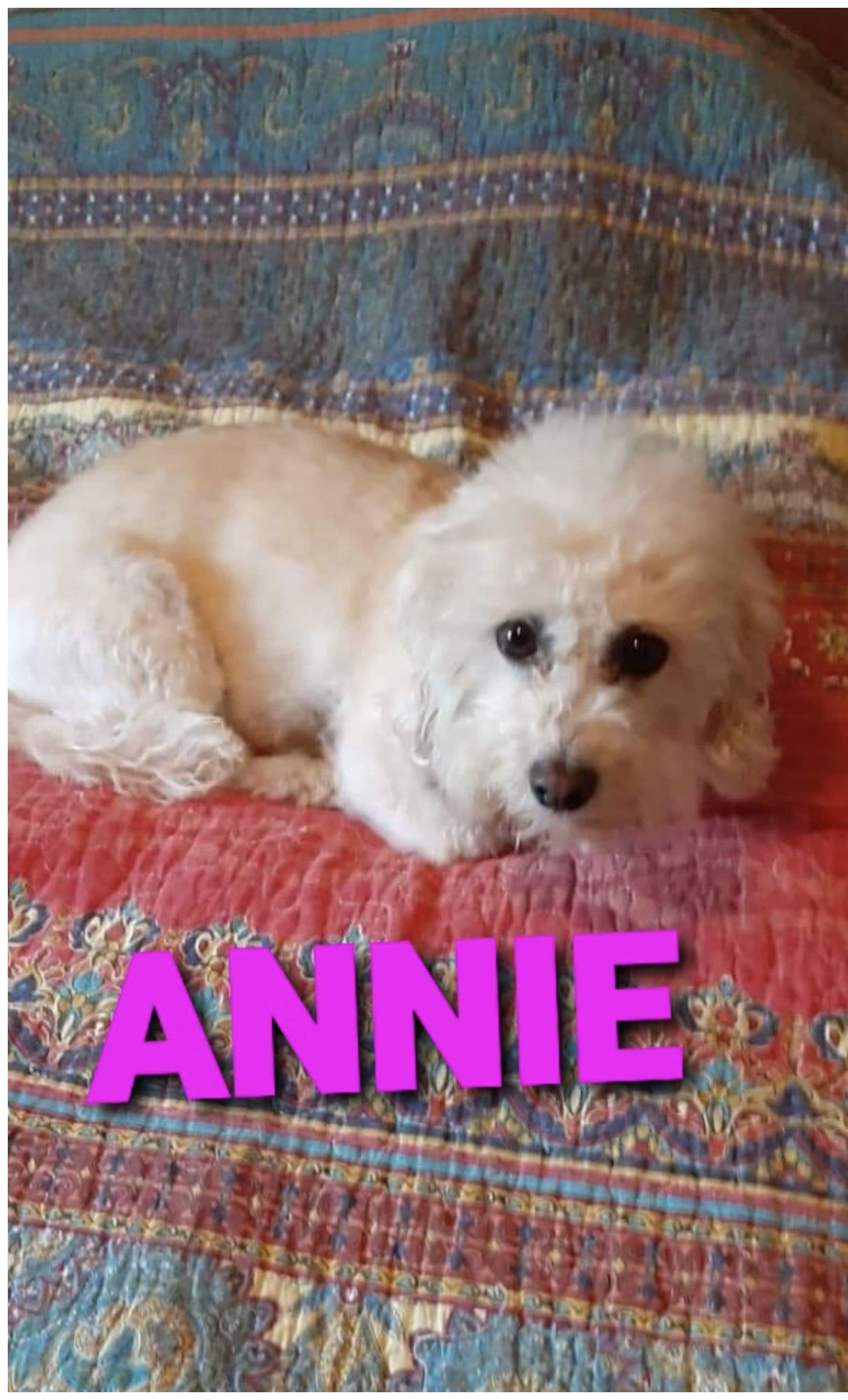 Annie