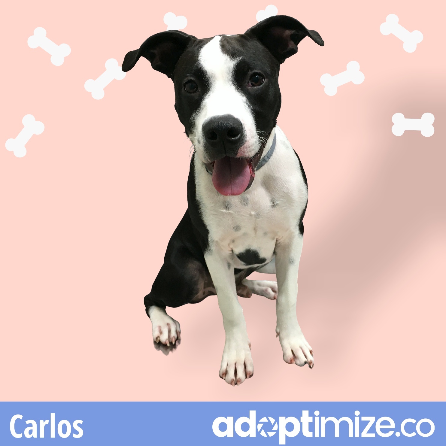 Carlos