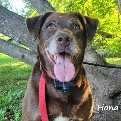 Fiona