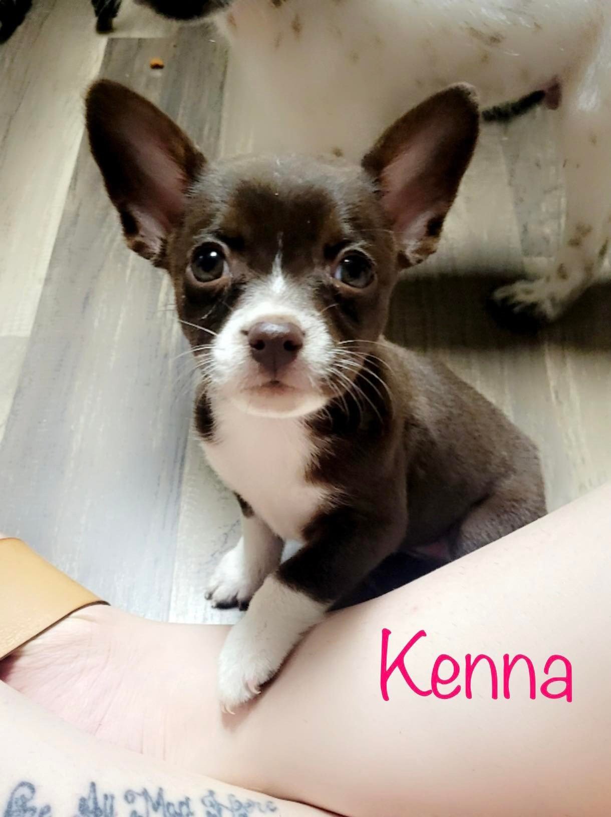 Kenna