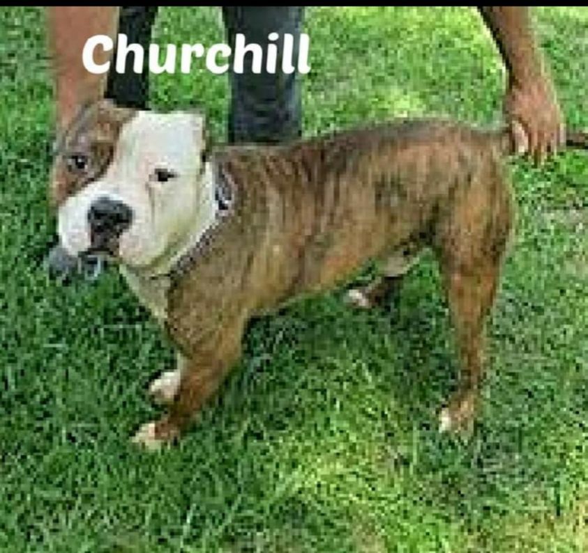 CHURCHILL