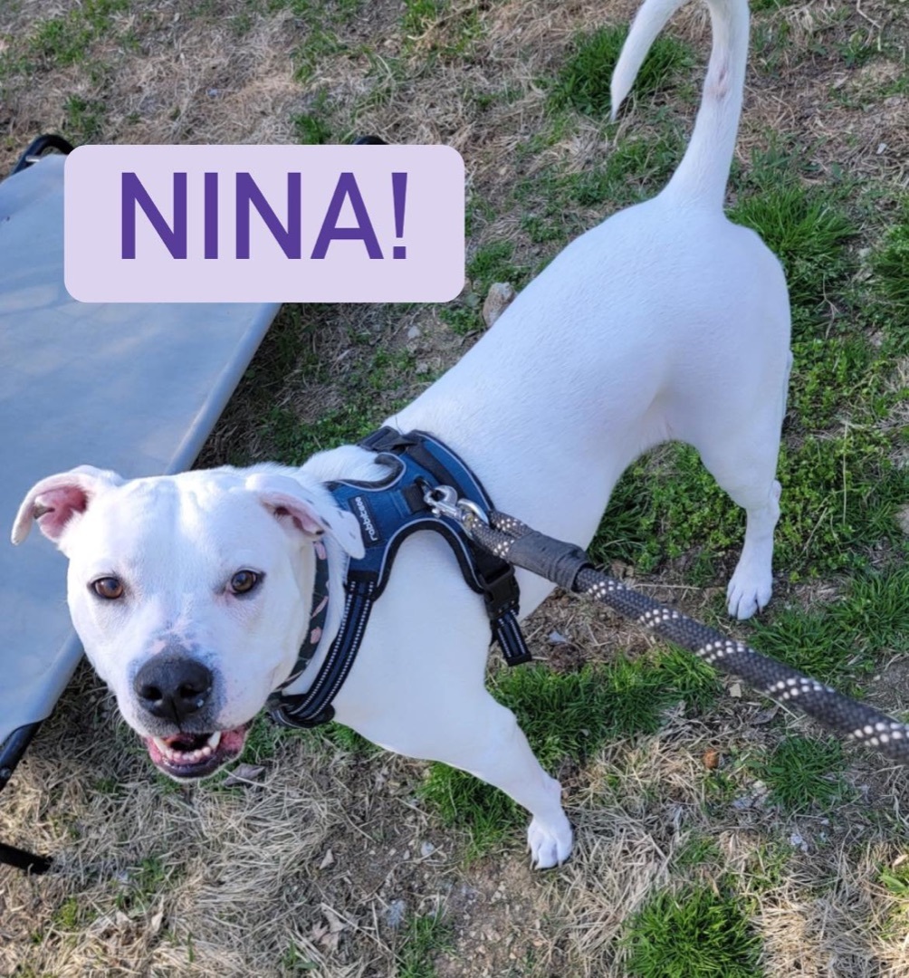 Nina