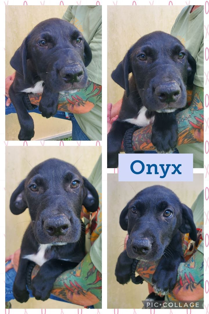 Onyx