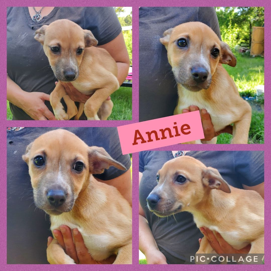 Annie