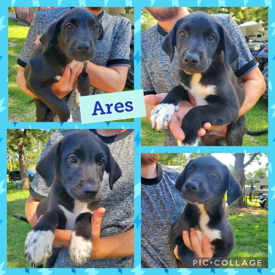 Ares