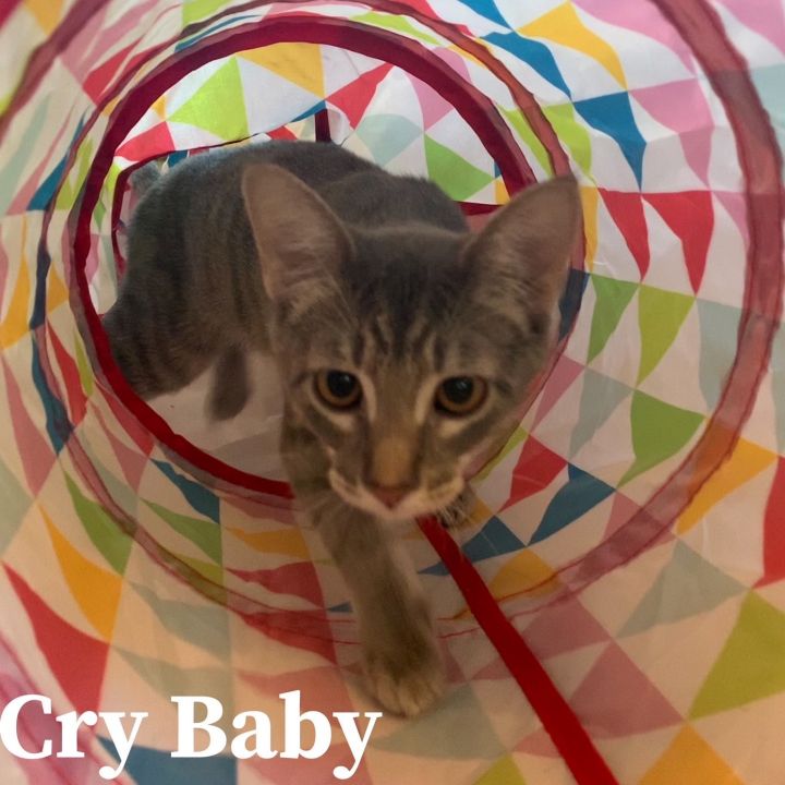 Cry Baby  5