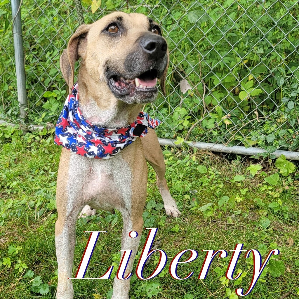 Liberty