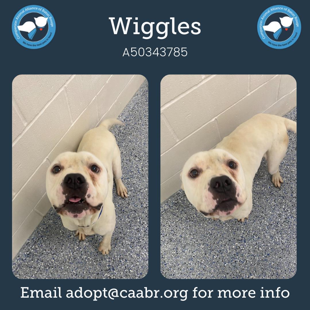 Wiggles