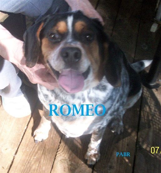 ROMEO