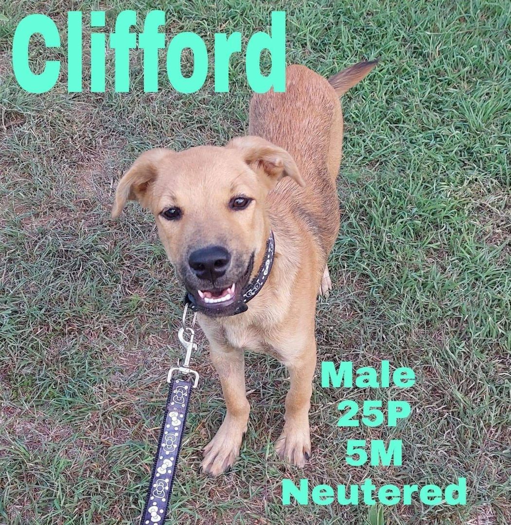 Clifford