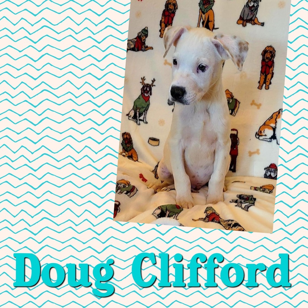 Doug Clifford