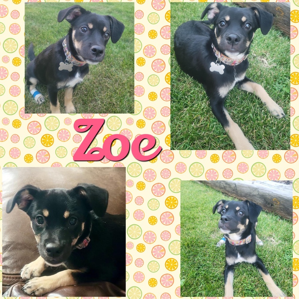 Zoe