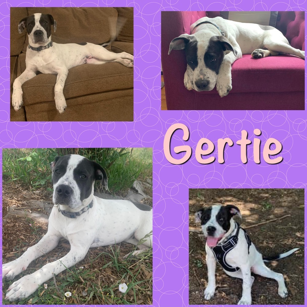 Gertie