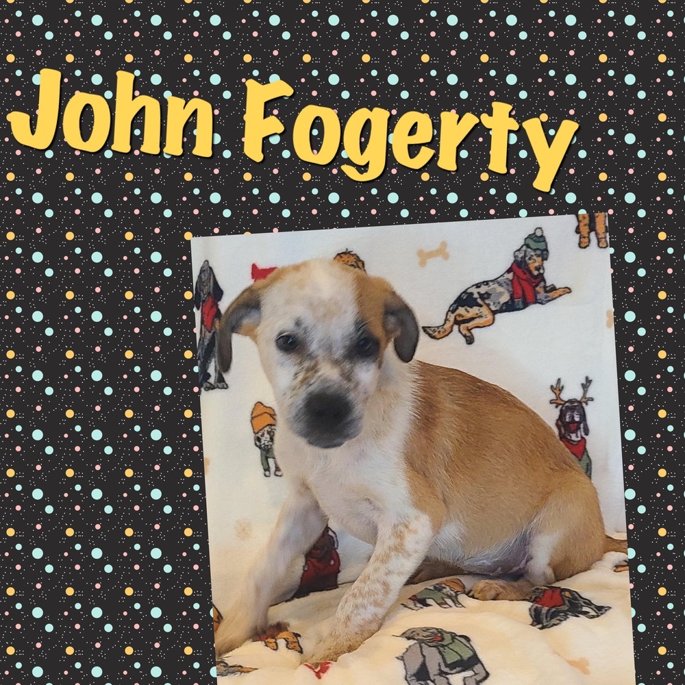 John Fogerty