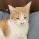 Sid Kabul (bonded w/Nancy Kabul) 1