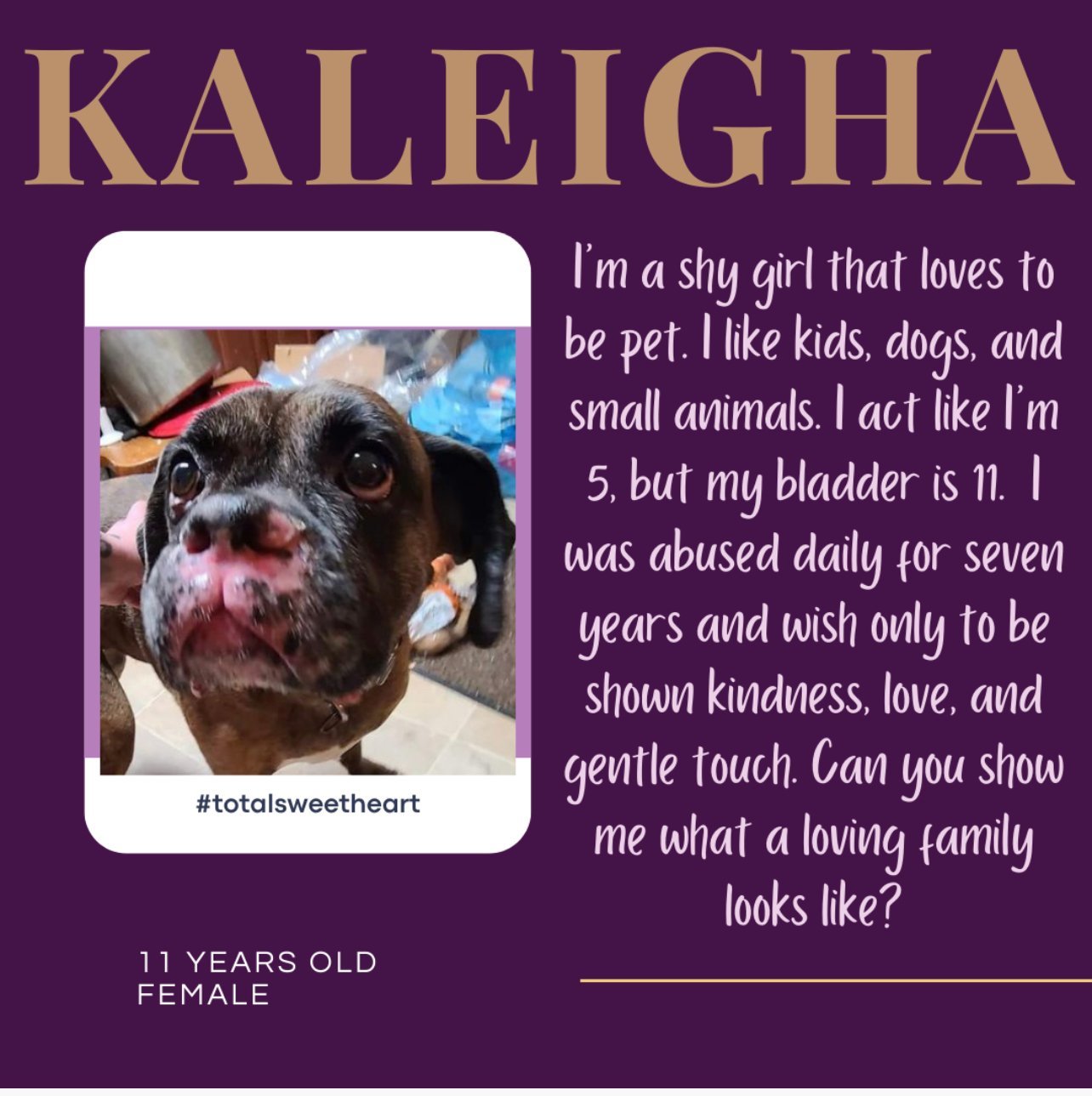 Kaleigha *Adoption Pending*