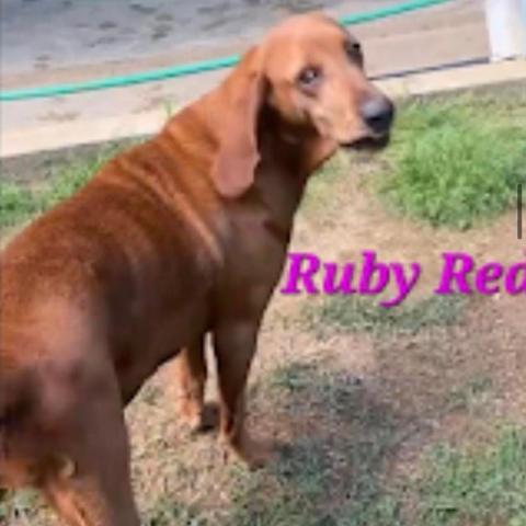 Ruby Red - Costa Mesa Location