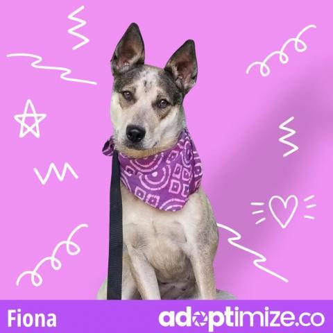 Fiona