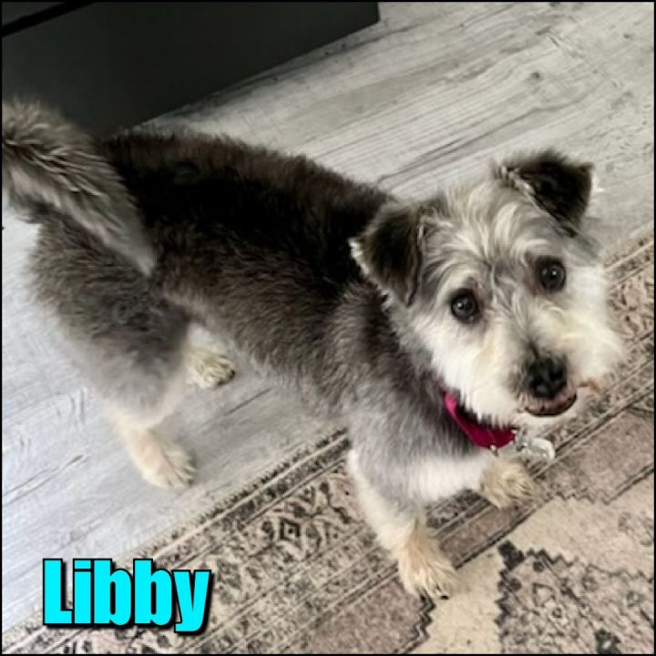 Libby 1