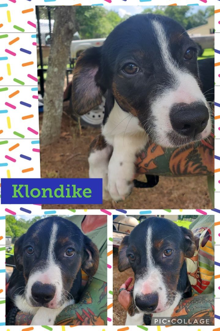 Klondike