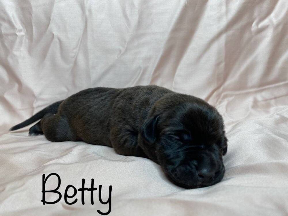 Betty