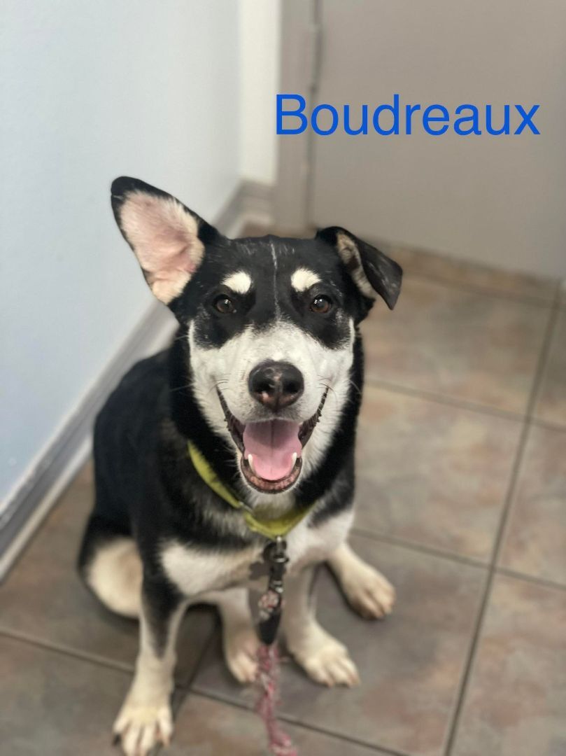 BOUDREAUX