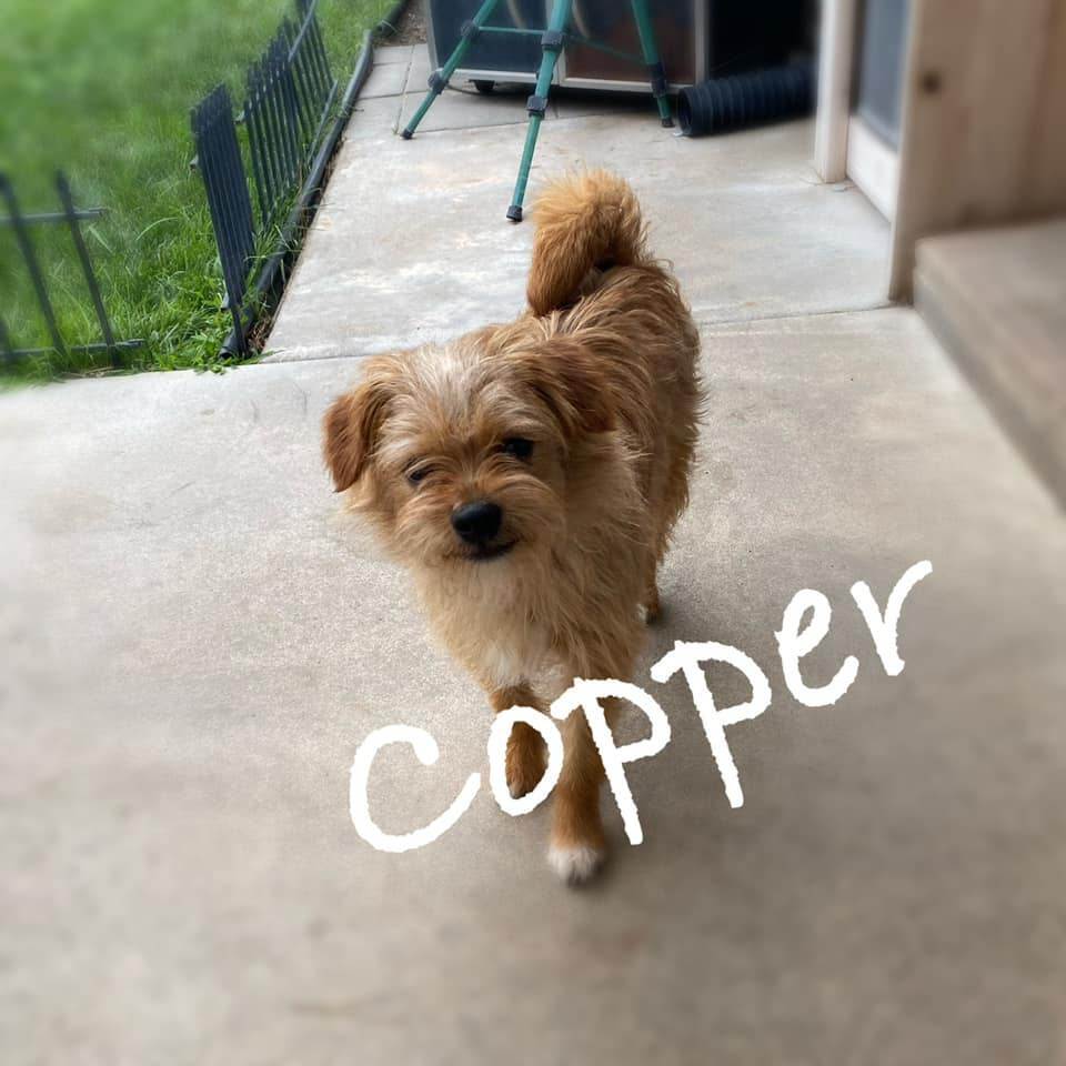 Copper