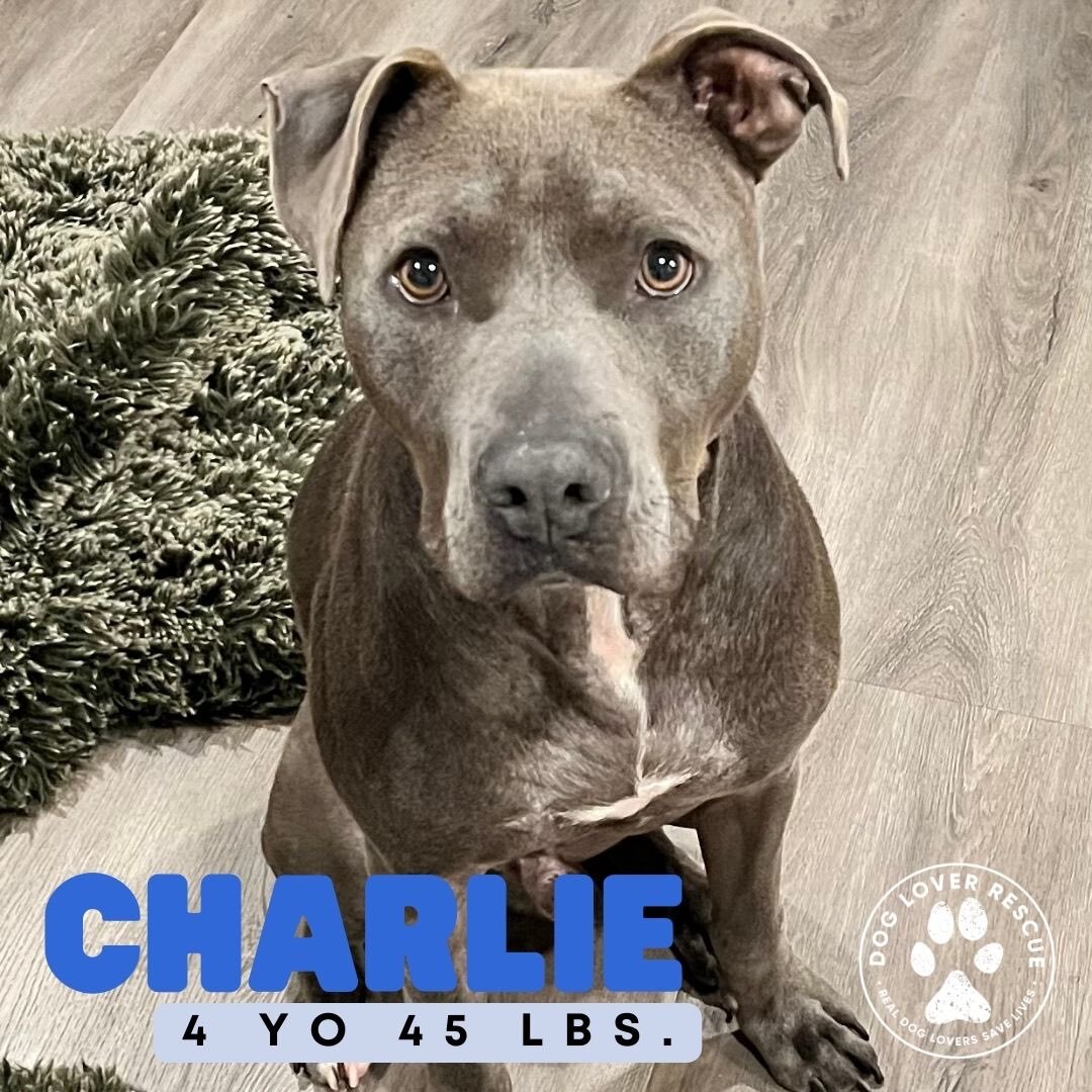 Charlie