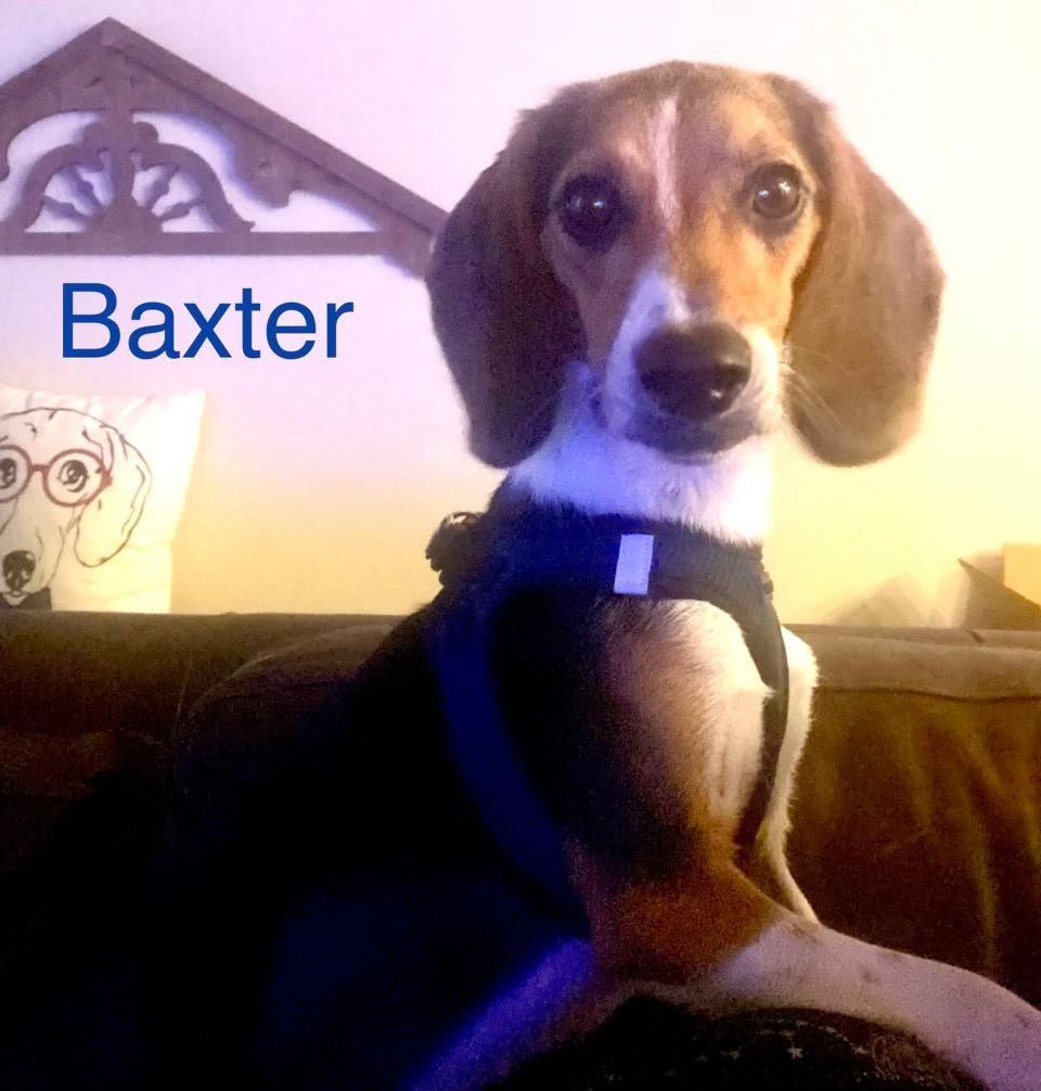 BAXTER