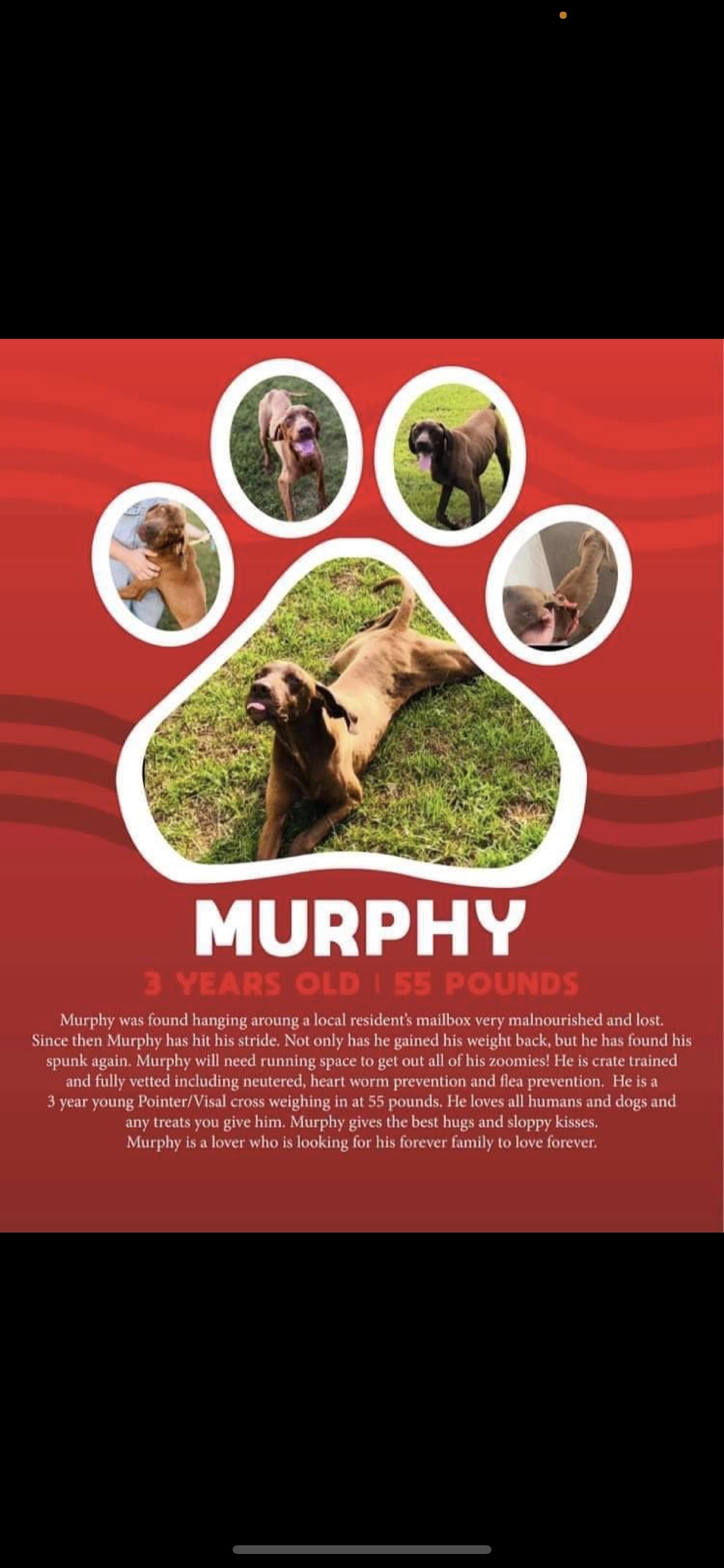 Murphy