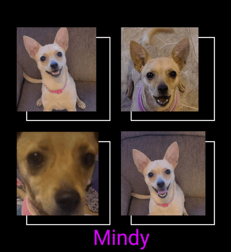 Mindy detail page