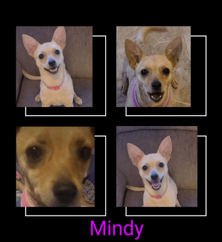 Mindy 1