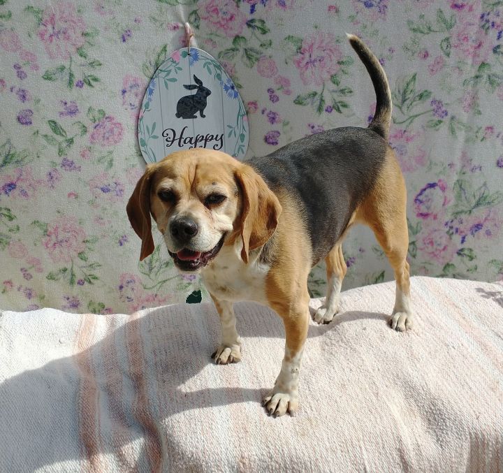 Louie-He's got a sponsor! 3
