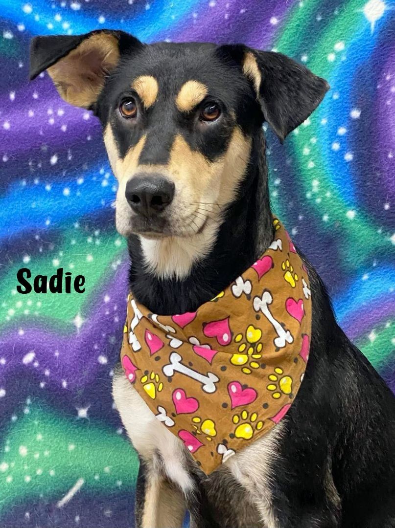 SADIE